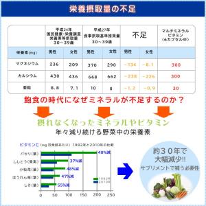 マルチミネラルビタミン サプリメントケースセッ...の詳細画像4