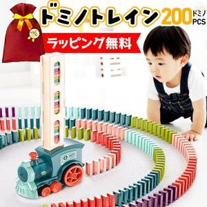 ドミノトレイン 知育玩具 誕生日 クリスマス プレゼント 子供 男の子 1歳 2歳 3歳 4歳 ドミノ ドミノ車 電車 知育 おもちゃ ドミノ倒し｜keigo-st