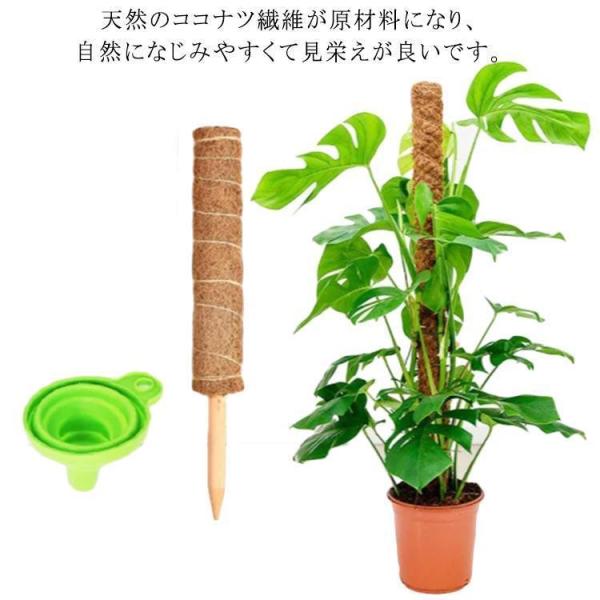 ココスティック モンステラ支柱 観葉植物 支柱 園芸支柱 植物 ガーデニング用 花ささえ ココナッツ...