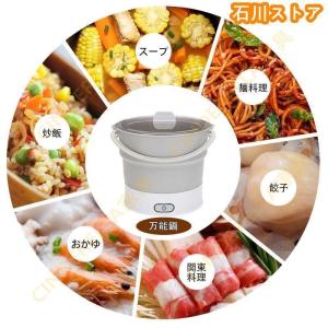 電気鍋 1人用 電気ケトル 110-240v ...の詳細画像2