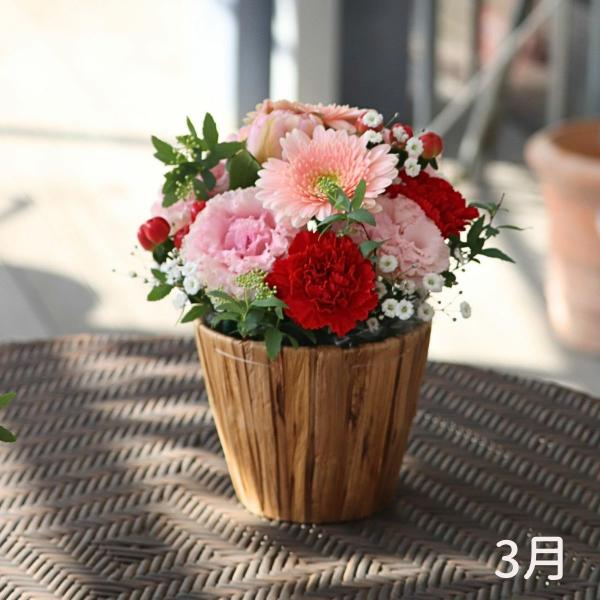 季節のアレンジメント Mサイズ 誕生日ギフト 贈り物 プレゼント フラワーアレンジ ギフト 誕生日 ...