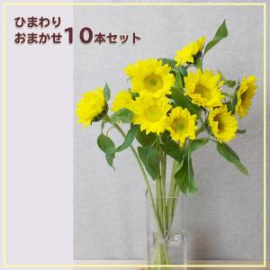 ひまわり 切り花用 花 ガーデニング の商品一覧 通販 Yahoo ショッピング