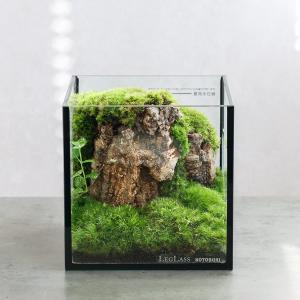 テラリウム 植物 プレゼントの商品一覧 通販 Yahoo ショッピング