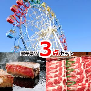 景品セット ビンゴ 二次会 選べる！全国テーマパークチケット＆選べる国産和牛＆イベリコ豚豪華３点セット  景品パネル＆引換券付き目録 15042｜keihin-happy