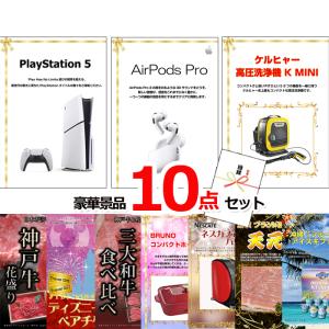 PlayStation 【土日、祝日発送】新品未開封品【Nランク】SONY ディスク
