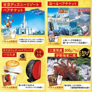 景品 セット 目録 パネル付き ギフト 25点...の詳細画像3