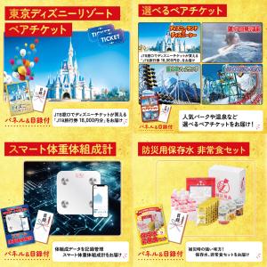 景品 セット 目録 パネル ギフト 30点セッ...の詳細画像3