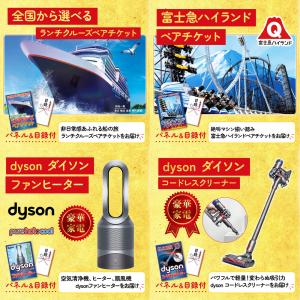 景品 セット 目録 パネル ギフト 30点セッ...の詳細画像3