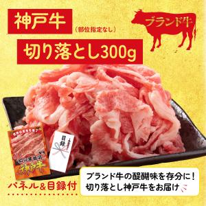 景品 目録 3点セット ディズニー ペア チケ...の詳細画像4