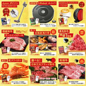 景品 目録 パネル セット 20点セット 家電...の詳細画像4