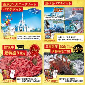 景品 セット 目録 パネル ギフト 30点セッ...の詳細画像3
