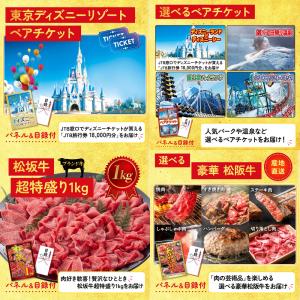 景品 セット 目録 パネル ギフト 30点セッ...の詳細画像3