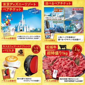 景品 セット 目録 パネル ギフト 30点セッ...の詳細画像3