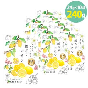 輪切りレモン 国産レモン使用 ドライフルーツ 紅茶 やわらかい おやつ 南信州菓子工房 24g×10袋｜keihinou