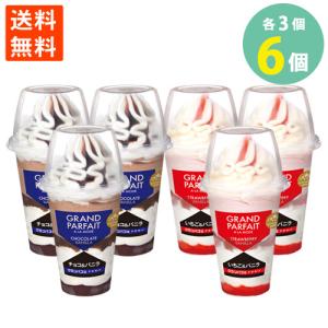 送料無料 グランパフェ ア・ラ・モード チョコ＆バニラ いちご＆バニラ 400ml×各3個＝6個入り｜keihinou