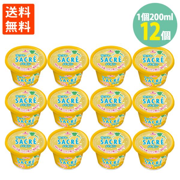 学校給食食材問屋 サクレ パイン 1個200ml ×12個入 フタバ食品 サックサクのかき氷 ロング...