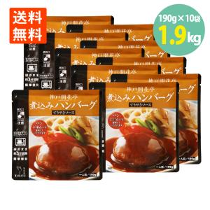 煮込みハンバーグ テリヤキソース 190g×10袋 開花亭 送料無料 ハンバーグ レトルト テリヤキ ハンバーグ レンジ｜keihinou