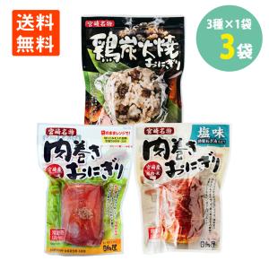 日向屋 肉巻きおにぎり120g お試しセット 3種×1袋 宮崎名物 日向屋 レンチン お手軽 主食 間食 常備 常温保存 送料無料｜keihinou