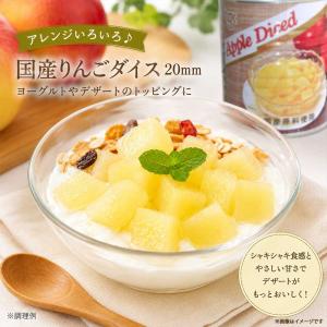 国産 りんご ダイス 缶詰 1号缶 3kg×1...の詳細画像2