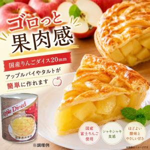 国産 りんご ダイス 缶詰 1号缶 3kg×1...の詳細画像3