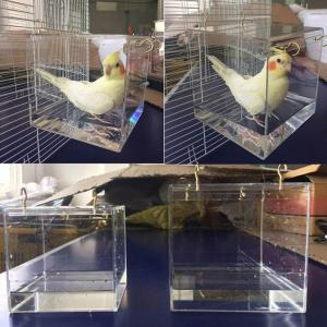 ほとんどの鳥かごペットオウムセキセイインコオカ...の詳細画像1