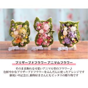動物アレンジメント アニマルフラワー 犬・猫・...の詳細画像1
