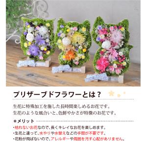動物アレンジメント アニマルフラワー 犬・猫・...の詳細画像2