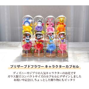 【プリザーブドフラワー ギフト】かわいいキャラ...の詳細画像1
