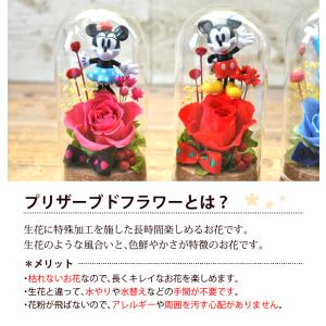 【プリザーブドフラワー ギフト】かわいいキャラ...の詳細画像2
