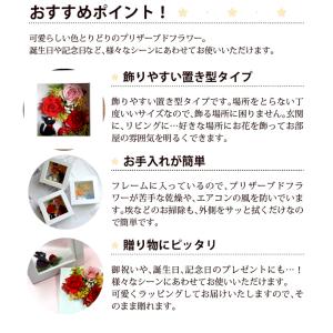 【キャラクターフレーム 】プリザーブドフラワー...の詳細画像2