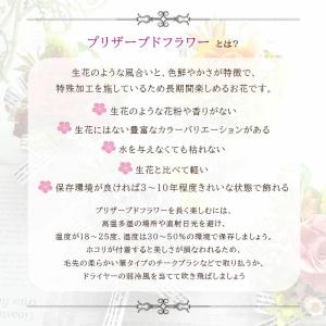 【デイリーリース】プリザーブドフラワーと自然素...の詳細画像5