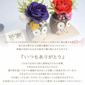 和風プリザーブドフラワー 夫婦ふくろう/ ギフ...の詳細画像3