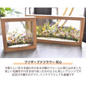 プリザーブドフラワー 花心 フレームアレンジ ...の詳細画像1
