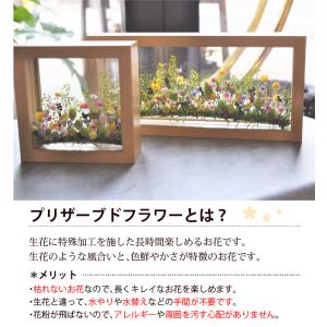 プリザーブドフラワー 花心 フレームアレンジ ...の詳細画像2