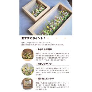 プリザーブドフラワー 花心 フレームアレンジ ...の詳細画像3