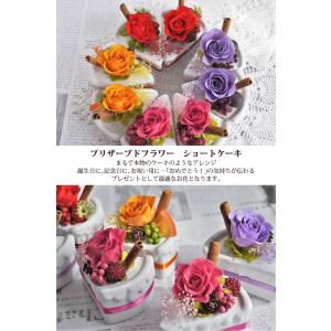 プリザーブドフラワー ショートケーキ /アレン...の詳細画像1