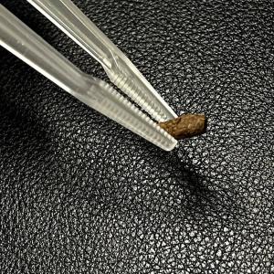 爬虫類用 プラスチック製 ピンセット ケガ防止...の詳細画像5