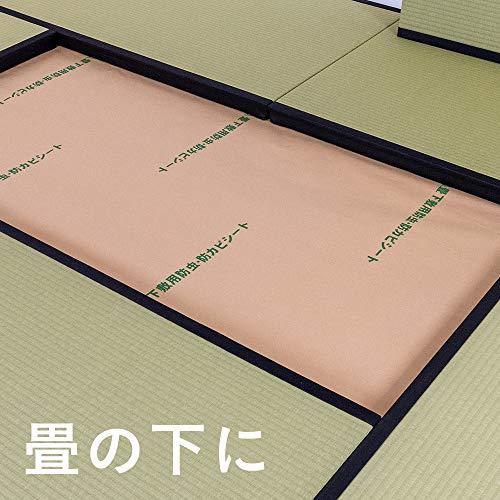 【メール便の為日時指定不可】こうひん 防虫・防ダニ・防カビシート 1畳サイズ（約197×106cm・...