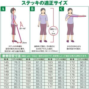 ガストロック 天然木ストレートステッキ ga-...の詳細画像1