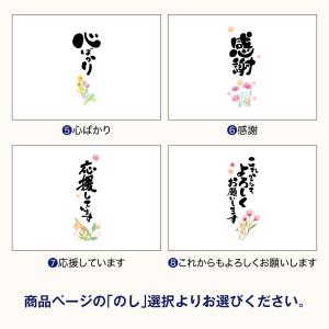 お中元 御中元 贈り物 プレゼント ギフト お...の詳細画像5