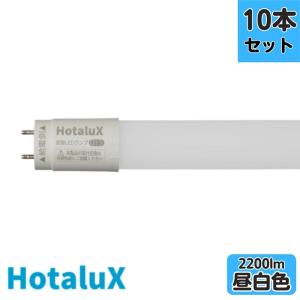 ホタルクス ○[法人限定][即納在庫有り] LD40T50/16/26G13-H1 HotaluX