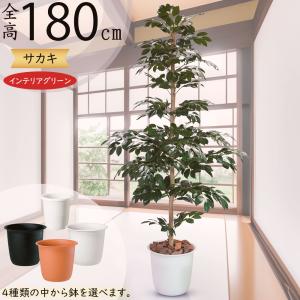 植木鉢 おしゃれ 大型 プランター 観葉植物 特大 園芸 ガーデニング