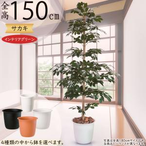 インテリアグリーン 大型 人気 リアル フェイクグリーン 観葉植物 人工