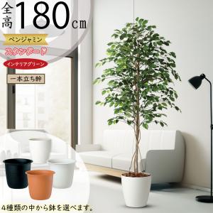 観葉植物 おしゃれ 大型 インテリアグリーン フェイク インディアン
