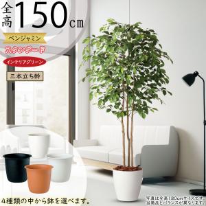 ベンジャミン おしゃれ 人気 フェイクグリーン 観葉植物 インテリア