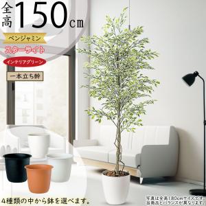 光触媒　人工観葉植物　フェイクグリーン　ベンジャミンスプラッシュリアナ150 楽天市場】フェイクグリーン 光触媒 人工観葉植物 観葉植物 大型