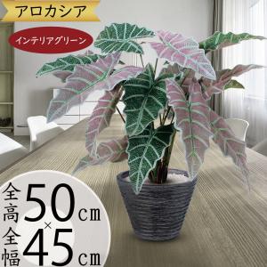アローカシア アロカシア インテリアグリーン おしゃれ 観葉植物 フェイクグリーン リアル 人気 おすすめ 人工観葉植物 人工樹木 造花 インテリア 鉢付き 50cm