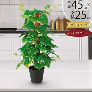 ドラセナ コンシンネ 大型 インテリアグリーン おしゃれ 人気 フェイク