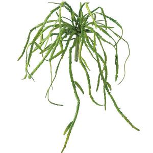 インテリアグリーン おしゃれ 多肉植物 リプサリス 観葉植物 造花 フェイクグリーン リアル 人気 おすすめ 本物そっくり インテリア アレンジ 30cm 2本セット｜keishin