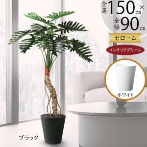 インテリアグリーン セローム おしゃれ 人気 観...の商品画像